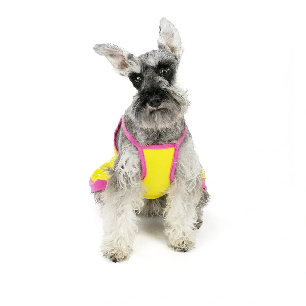 NWT Vibrant Life Dog Dress, Yellow Pink Polka Dot, XXSmall under 10 pounds